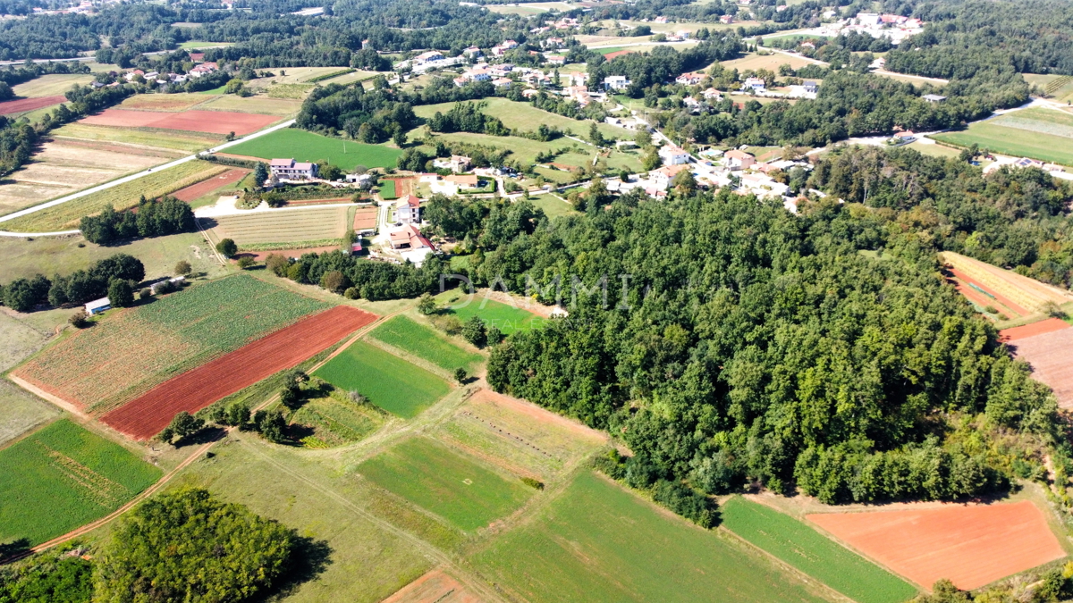 ISTRIA CENTRALE - Complesso unico di terreni agricoli edificabili