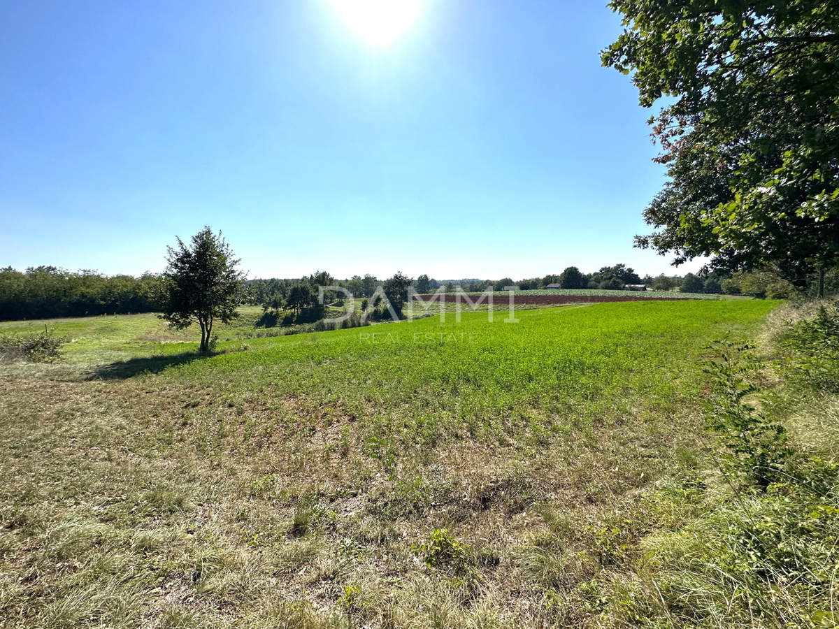 ISTRIA CENTRALE - Complesso unico di terreni agricoli edificabili