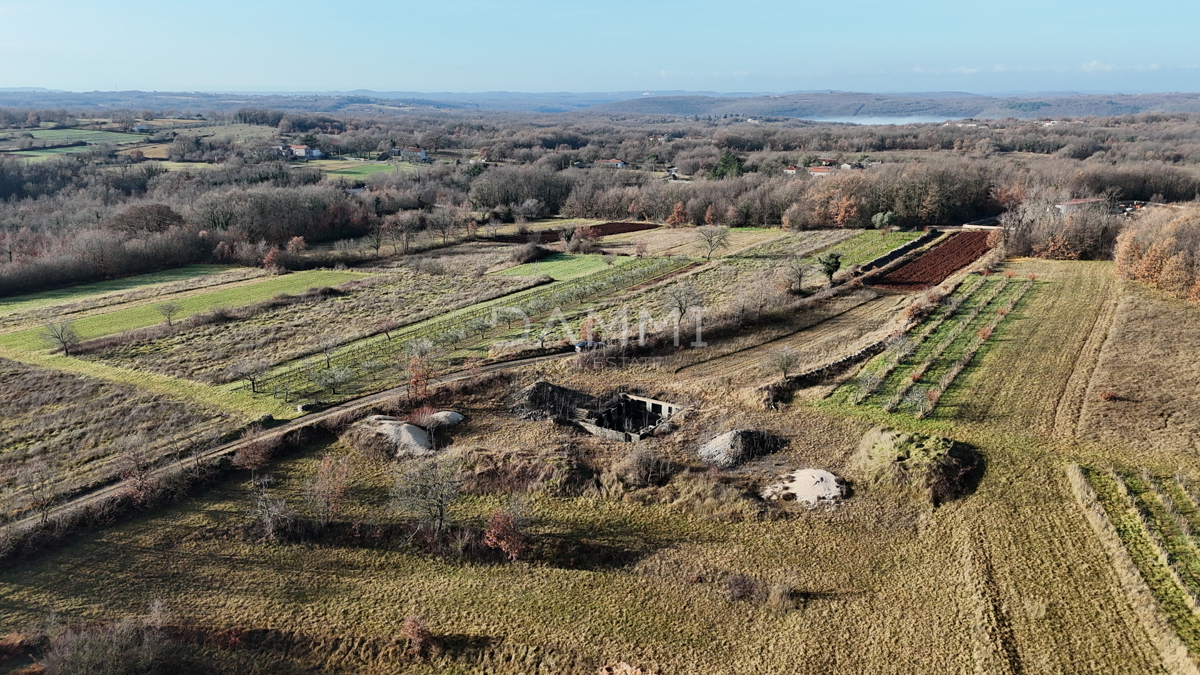 ISTRA, ŽMINJ - Terreno edificabile isolato di 1255 m2