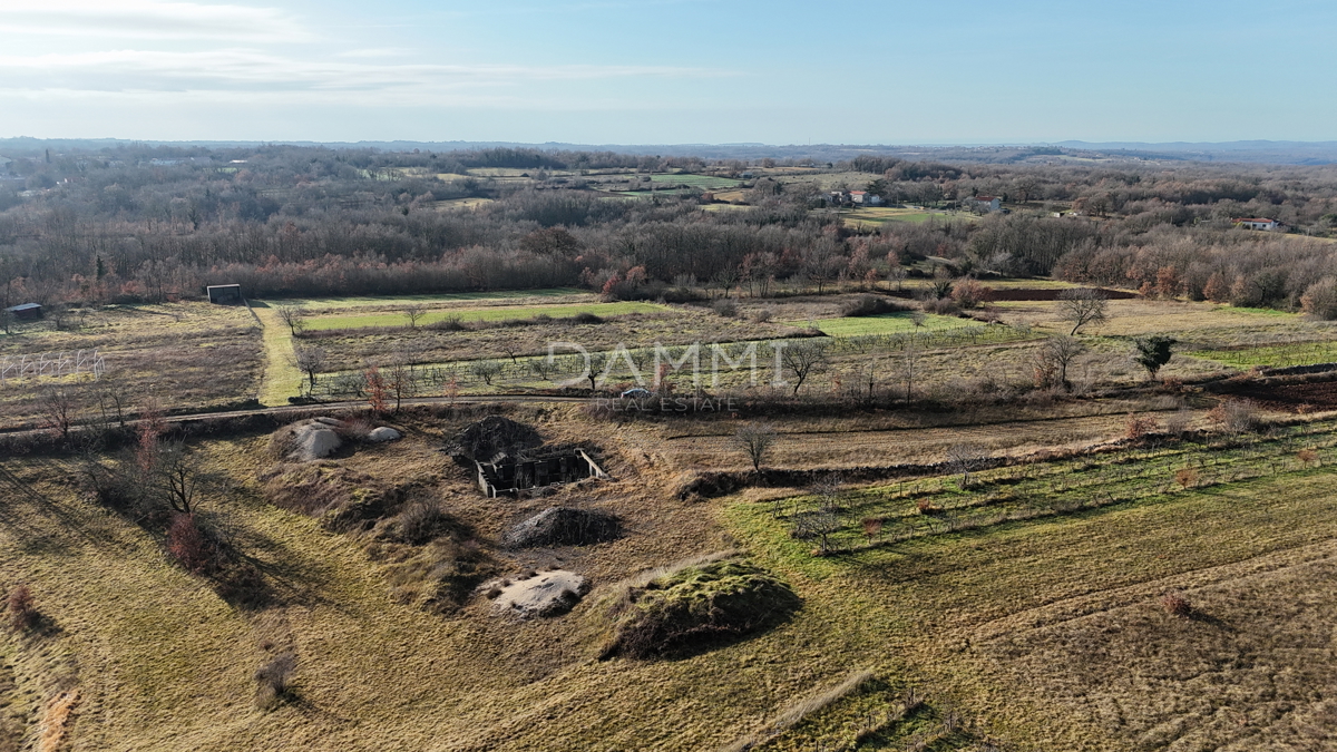 ISTRA, ŽMINJ - Terreno edificabile isolato di 1255 m2