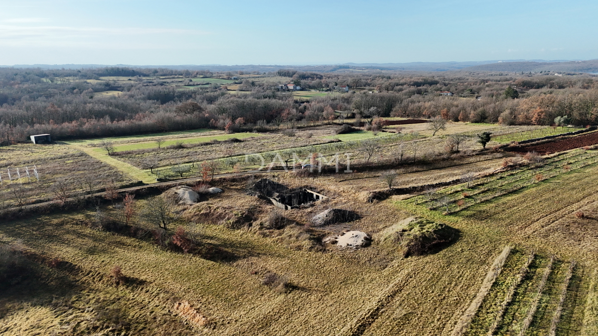 ISTRA, ŽMINJ - Terreno edificabile isolato di 1255 m2