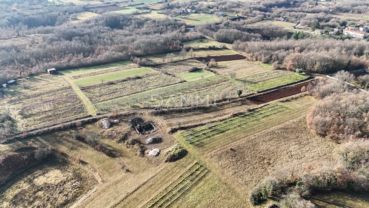 ISTRA, ŽMINJ - Terreno edificabile isolato di 1255 m2