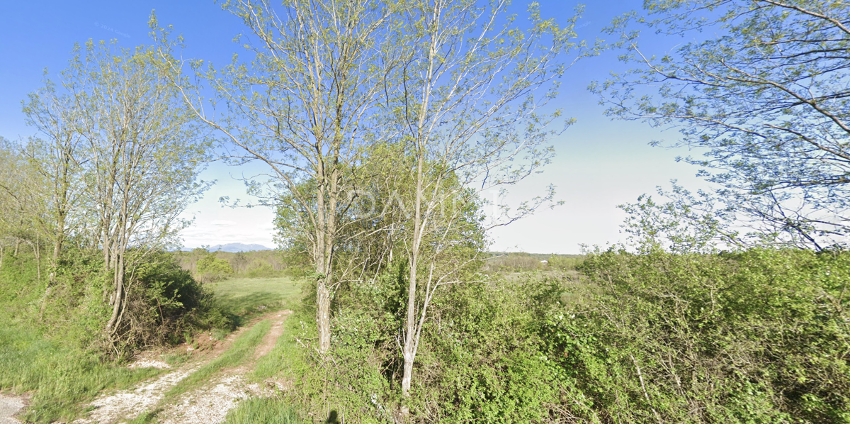 ISTRIA CENTRALE - Ampio terreno agricolo adiacente all'asfalto