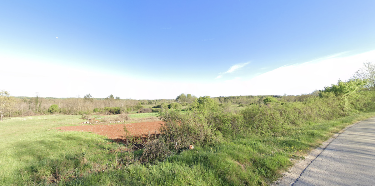 ISTRIA CENTRALE - Ampio terreno agricolo adiacente all'asfalto