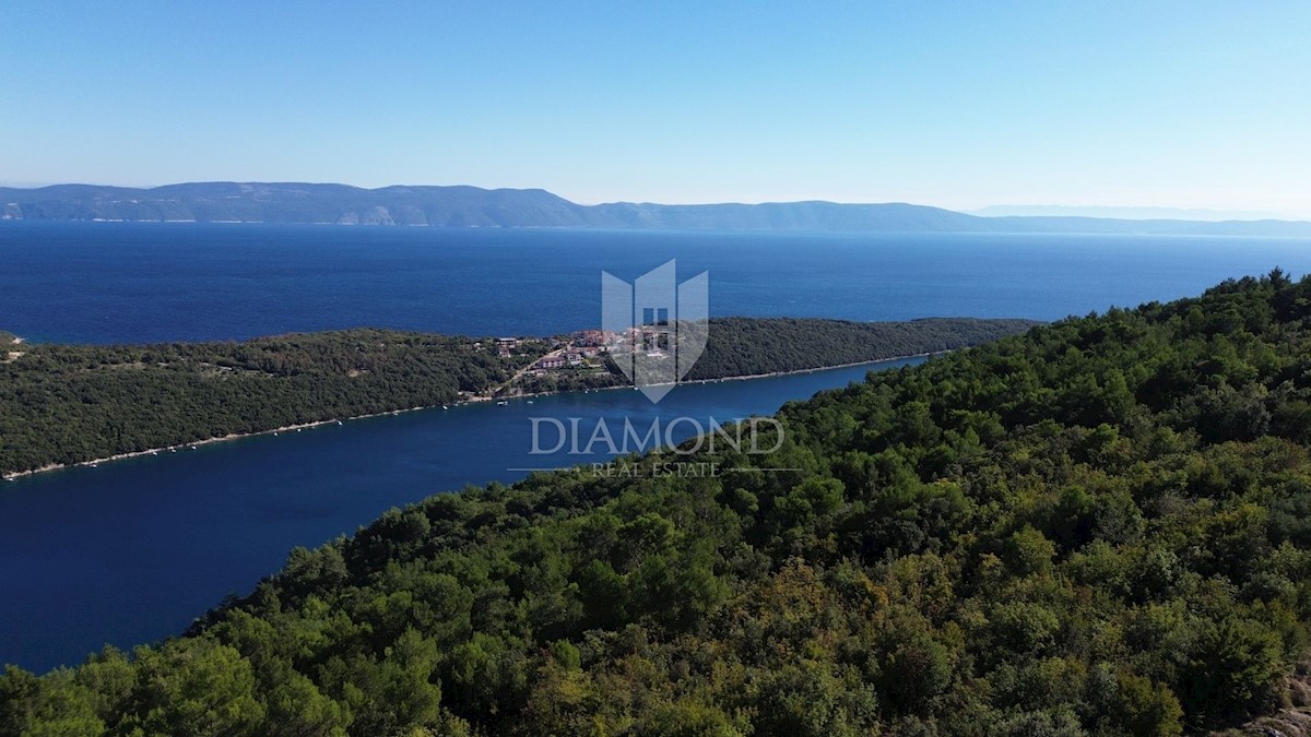 Albona, dintorni, terreno edificabile con vista mare