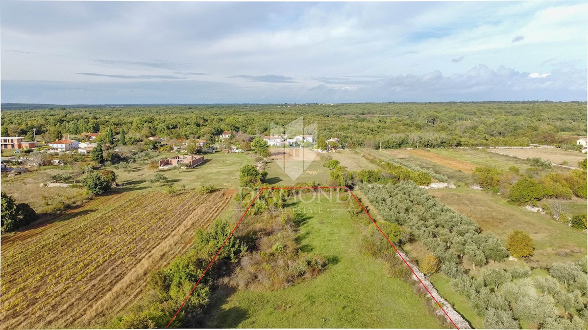 Edificio - terreno agricolo nelle vicinanze di Dignano!