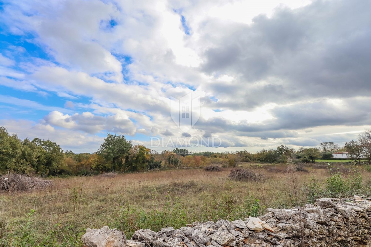 Marčana, dintorni, ampio terreno per la costruzione di diversi edifici