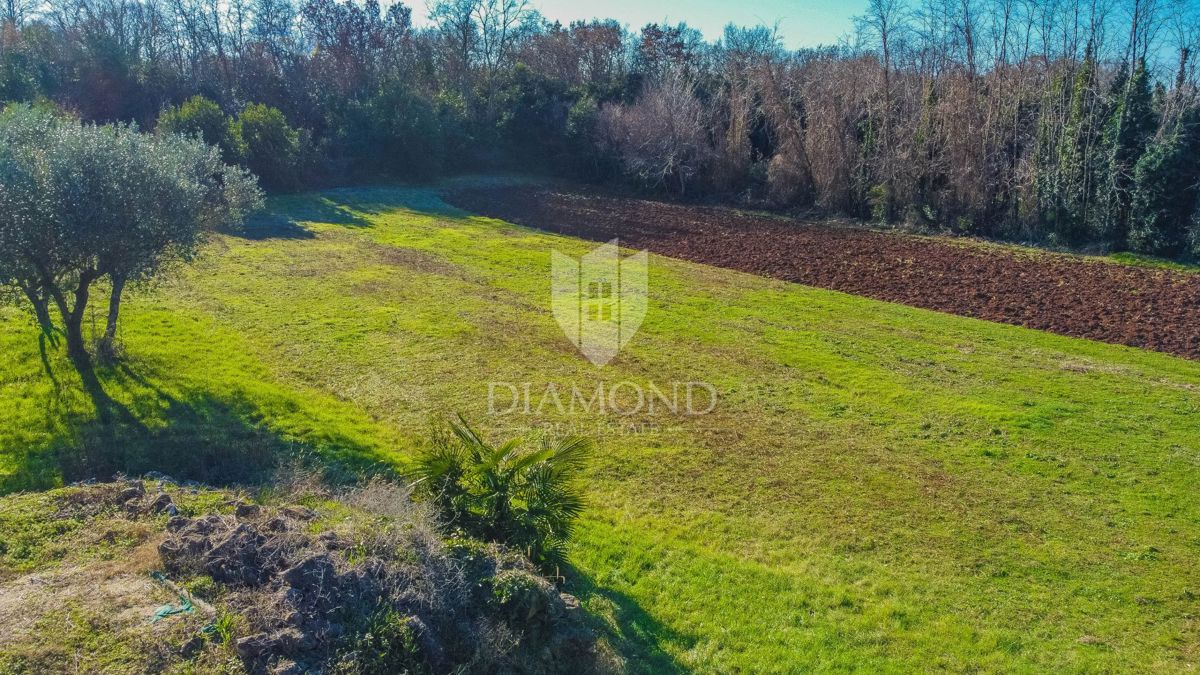 Umago, dintorni! Terreno edificabile in una posizione tranquilla!