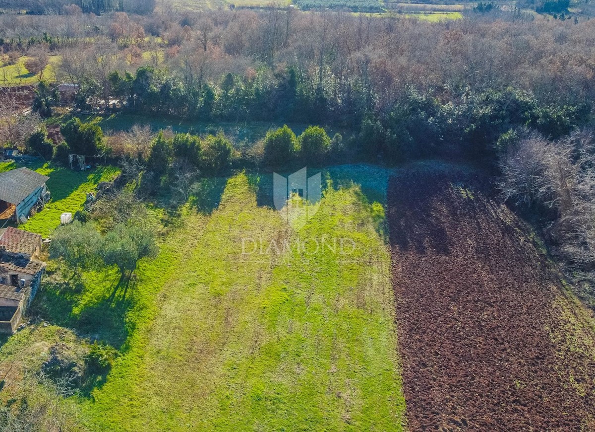 Umago, dintorni! Terreno edificabile in una posizione tranquilla!