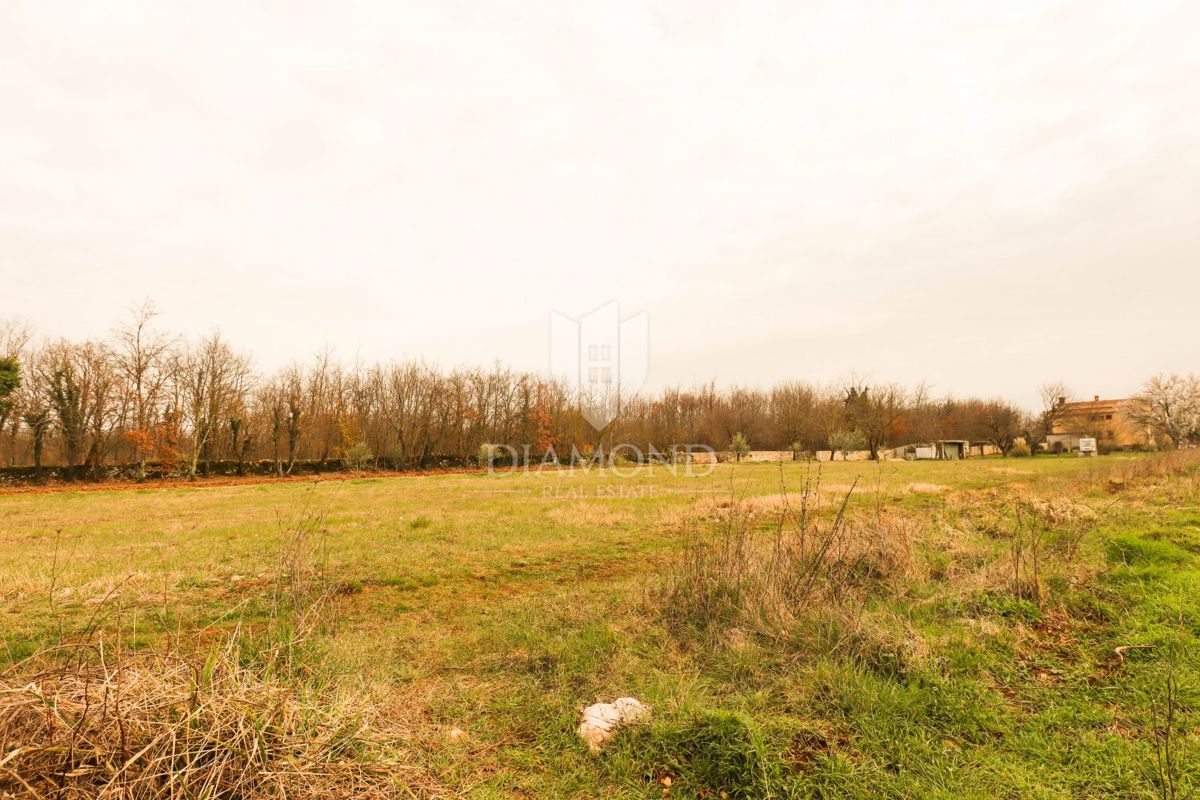 Ottimo terreno edificabile in una posizione tranquilla vicino a Rovigno