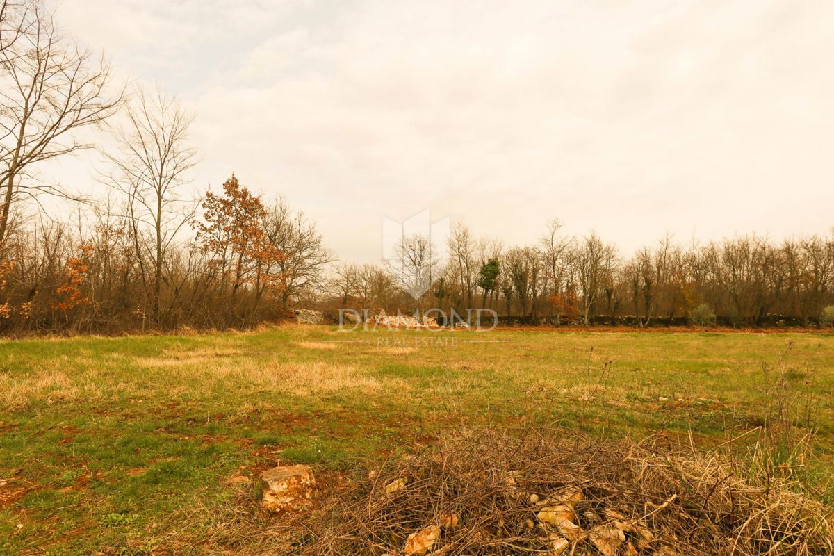 Ottimo terreno edificabile in una posizione tranquilla vicino a Rovigno