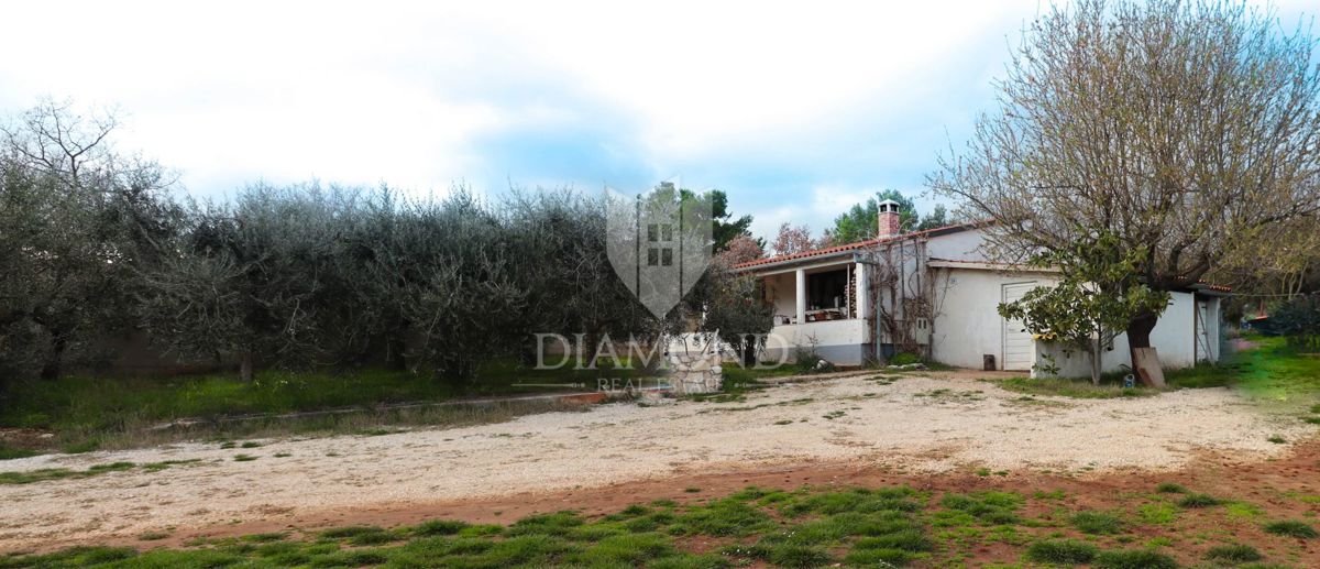 Rovigno, dintorni, casa ad un piano con ampio giardino