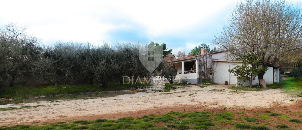 Rovigno, dintorni, casa ad un piano con ampio giardino