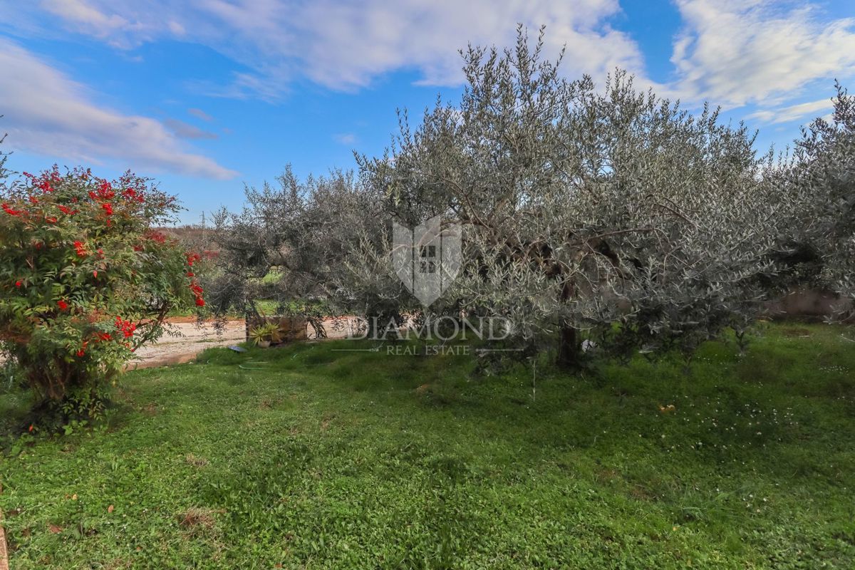 Rovigno, dintorni, casa ad un piano con ampio giardino