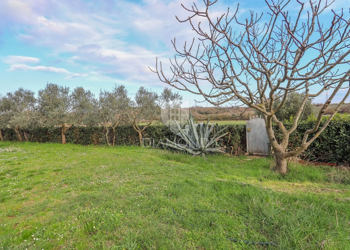 Rovigno, dintorni, casa ad un piano con ampio giardino