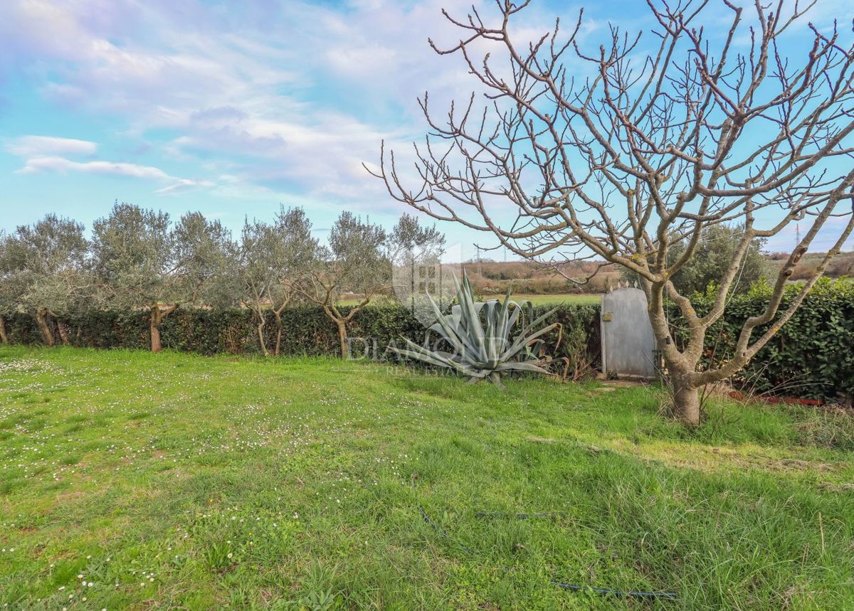 Rovigno, dintorni, casa ad un piano con ampio giardino