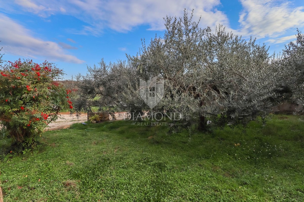 Rovigno, dintorni, casa ad un piano con ampio giardino