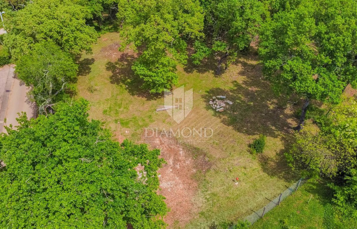 Umago, dintorni! Terreno edificabile con bosco in una posizione tranquilla!