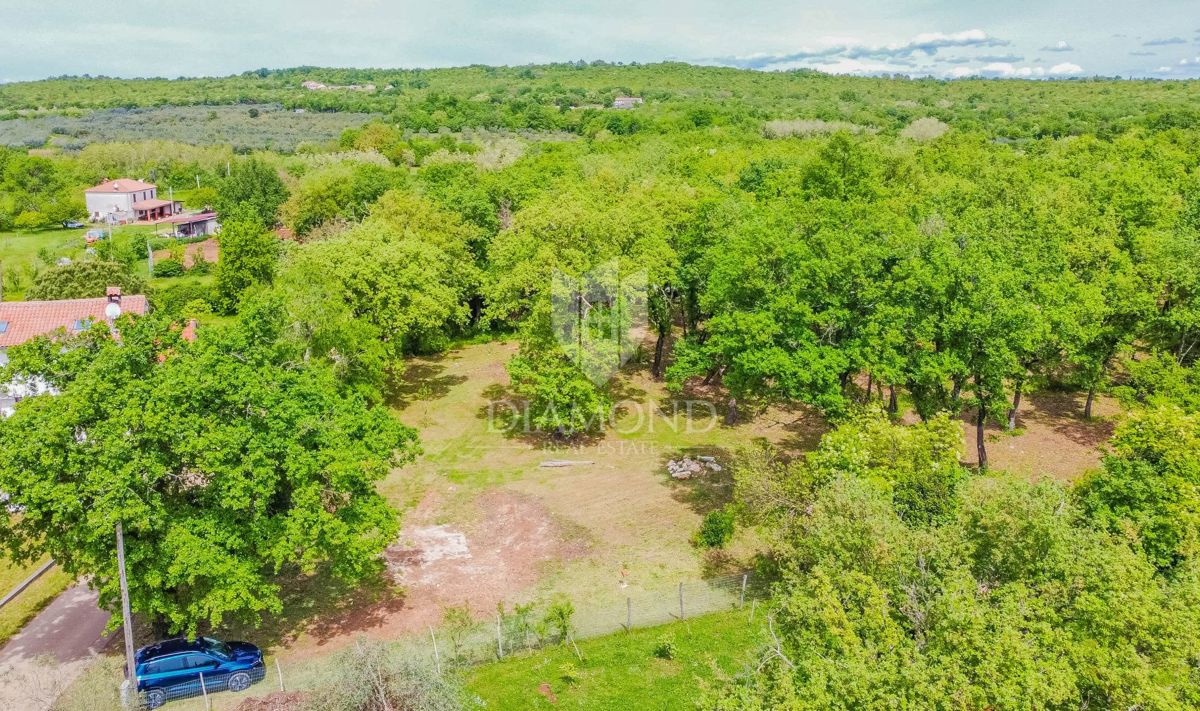 Umago, dintorni! Terreno edificabile con bosco in una posizione tranquilla!