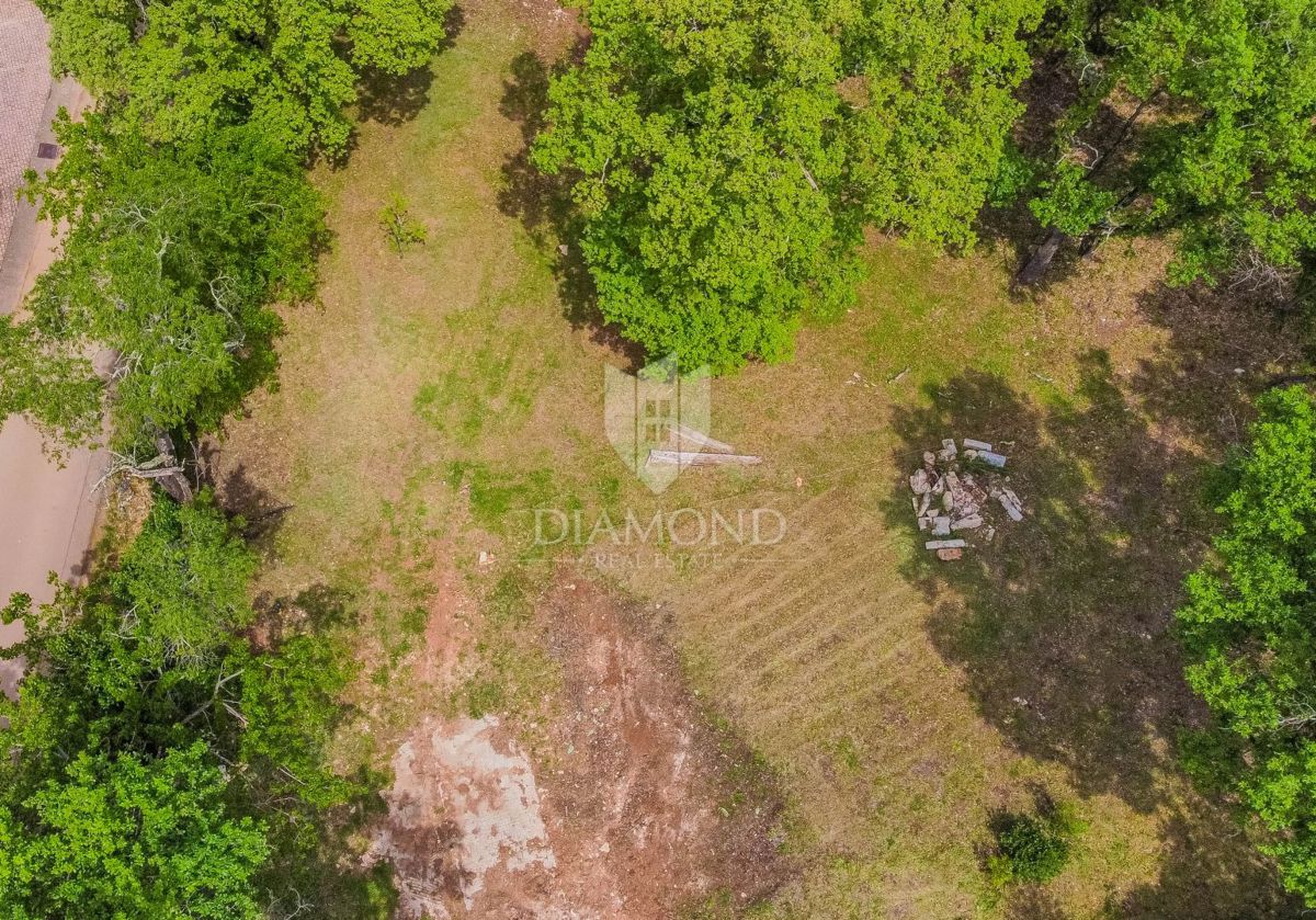 Umago, dintorni! Terreno edificabile con bosco in una posizione tranquilla!