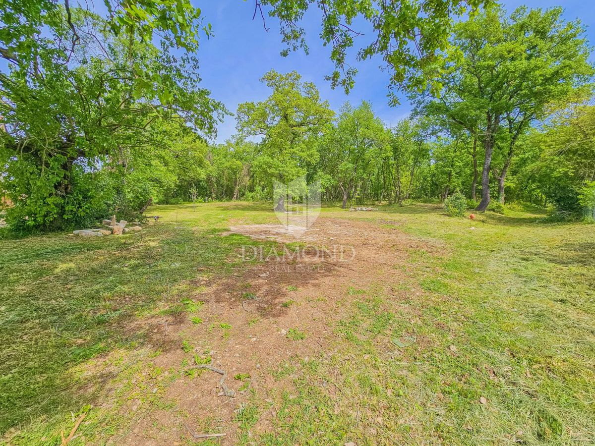 Umago, dintorni! Terreno edificabile con bosco in una posizione tranquilla!