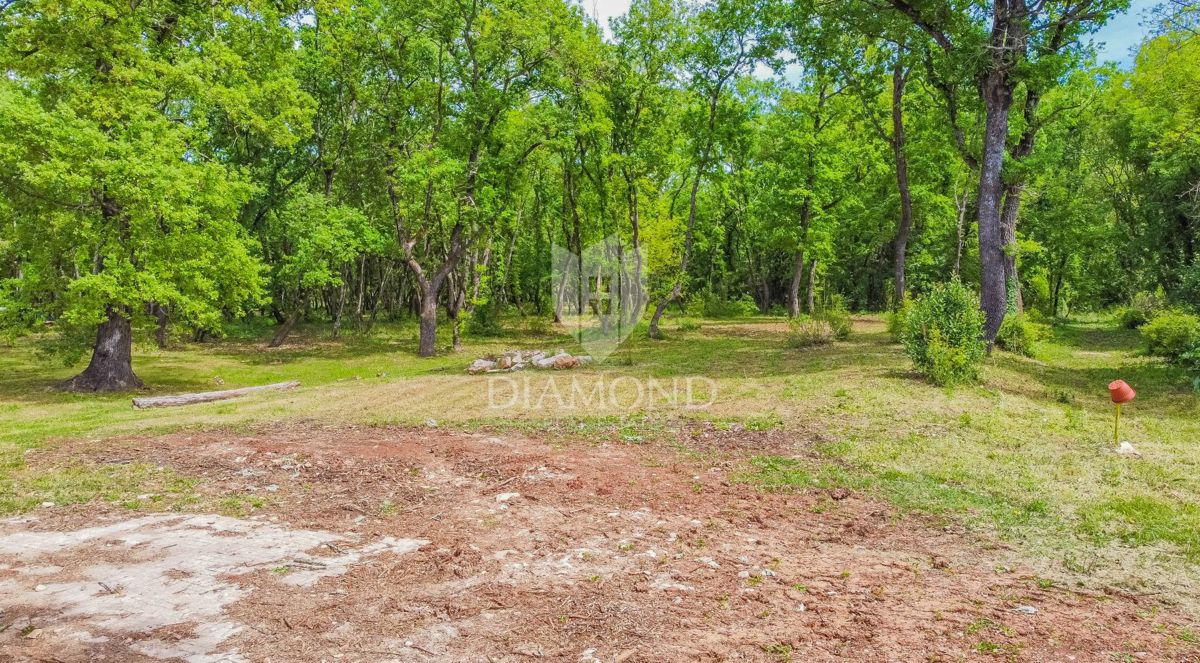 Umago, dintorni! Terreno edificabile con bosco in una posizione tranquilla!