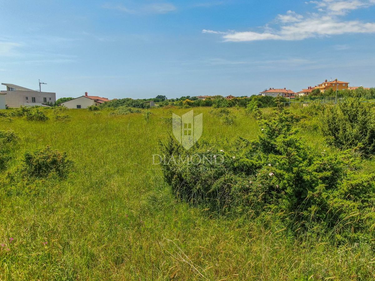 Dignano, terreno per nuovi progetti in una posizione fantastica 