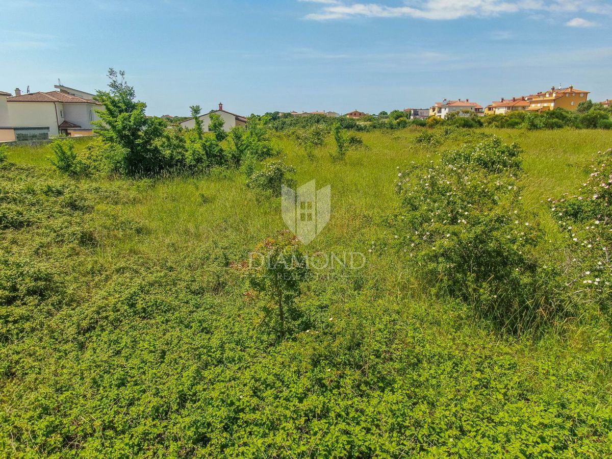 Dignano, terreno per nuovi progetti in una posizione fantastica 