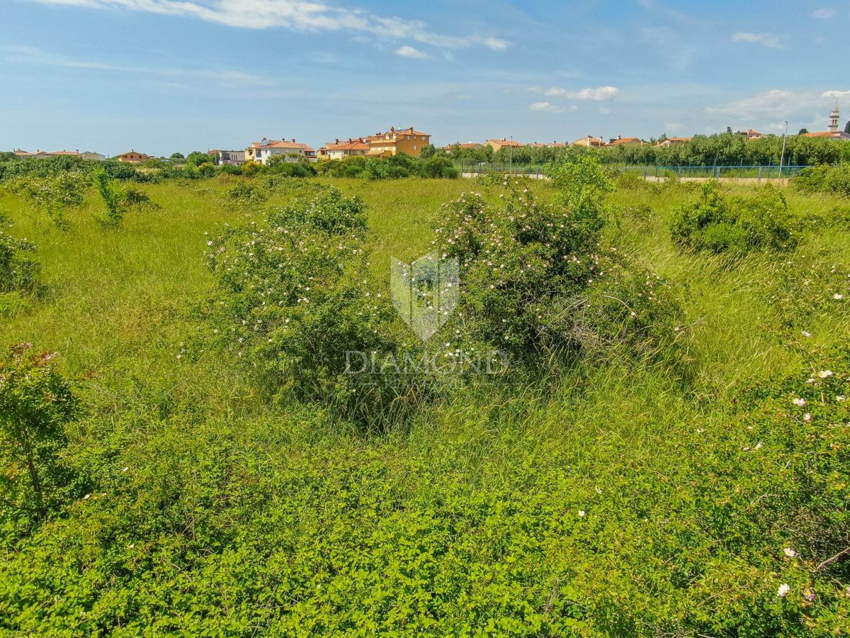 Dignano, terreno per nuovi progetti in una posizione fantastica 