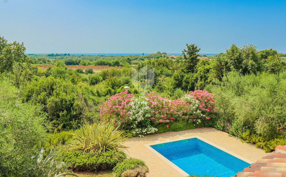 Verteneglio! Casa in pietra con vista mare e piscina!