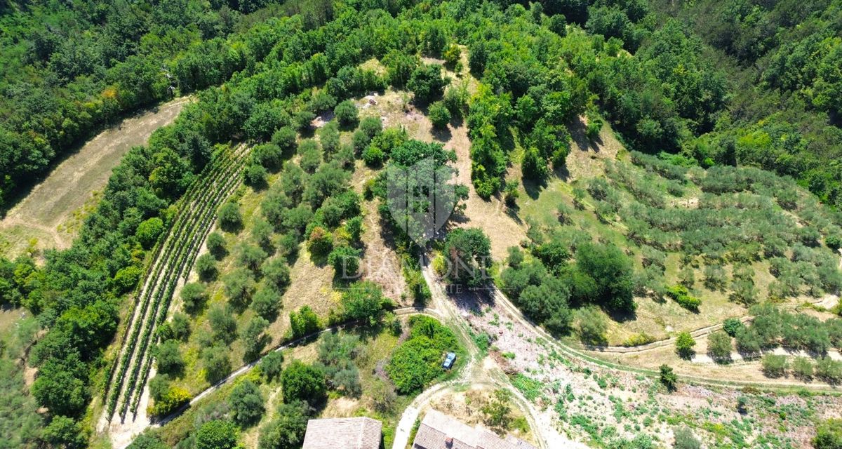 Cerovlje, dintorni, terreno edificabile con bella vista