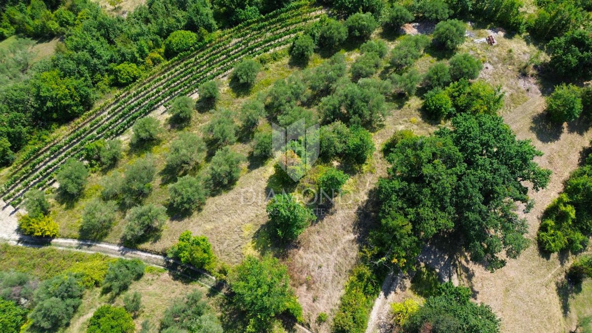 Cerovlje, dintorni, terreno edificabile con bella vista