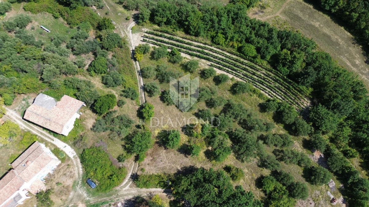 Cerovlje, dintorni, terreno edificabile con bella vista