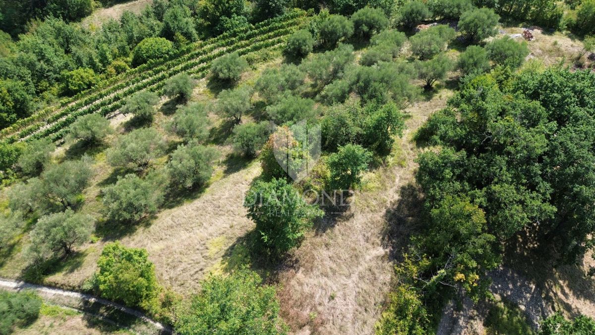 Cerovlje, dintorni, terreno edificabile con bella vista