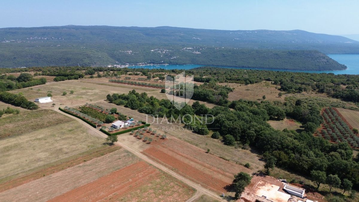 Barban, terreno edificabile in una posizione attraente