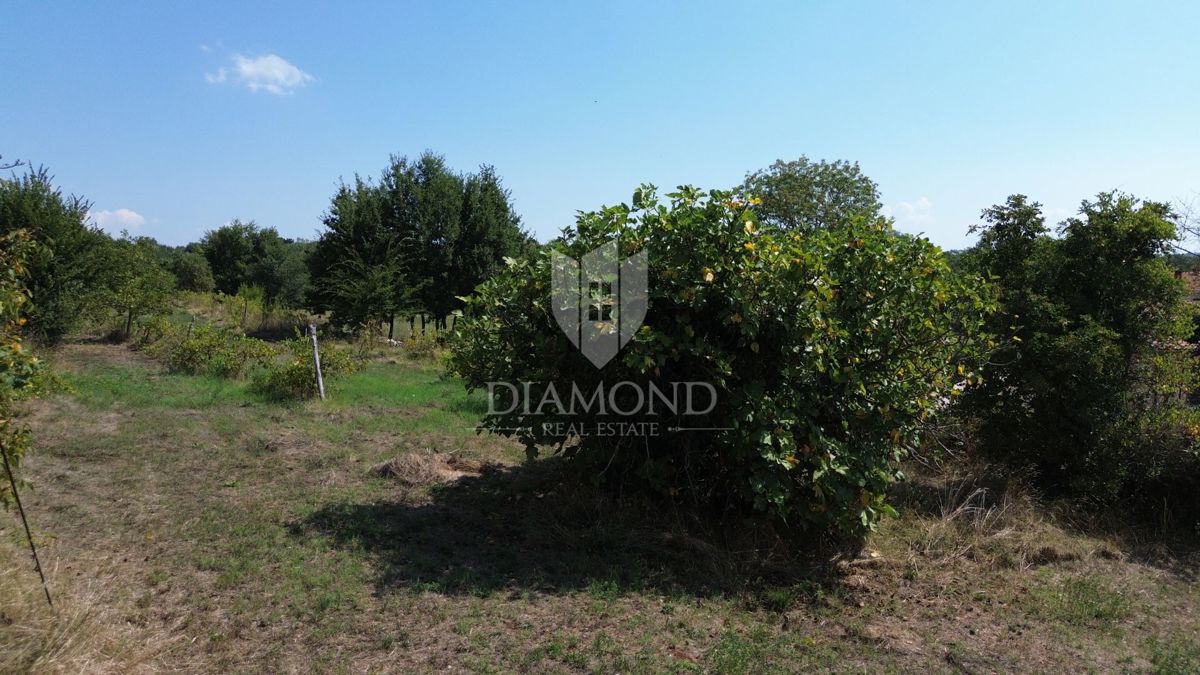 Albona, terreno edificabile attraente 