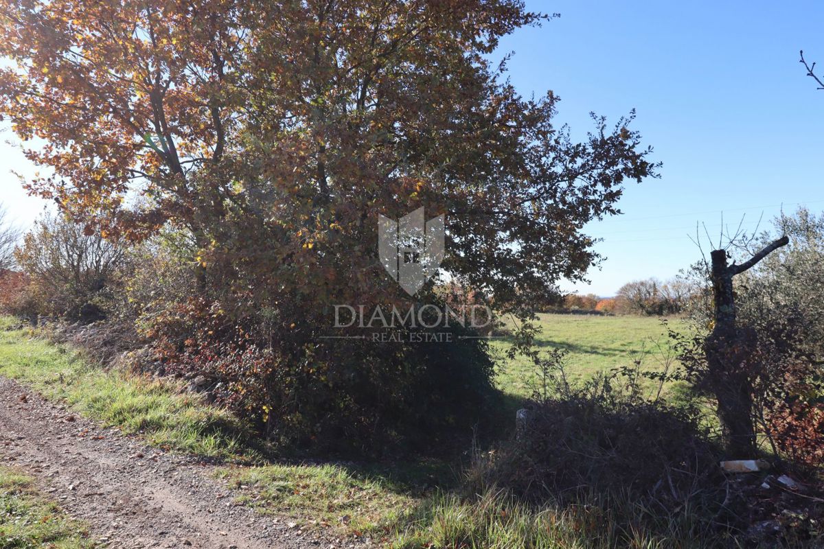 Bellissimo terreno edificabile con vista sul mare