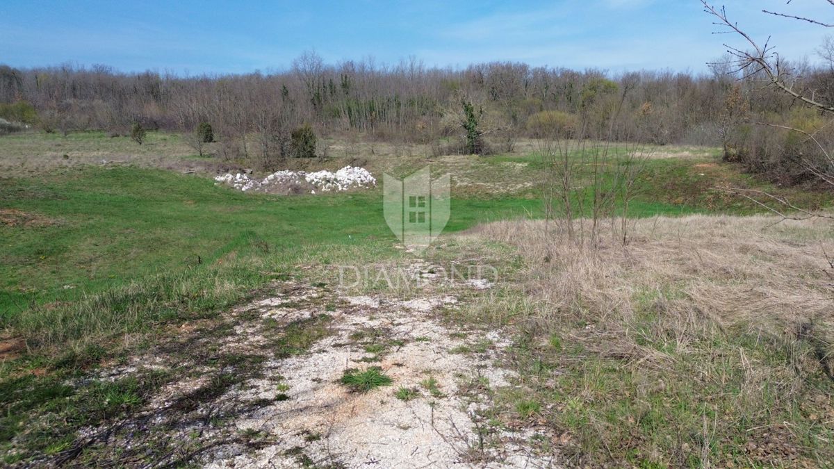 Albona, dintorni, terreno con permesso di costruzione