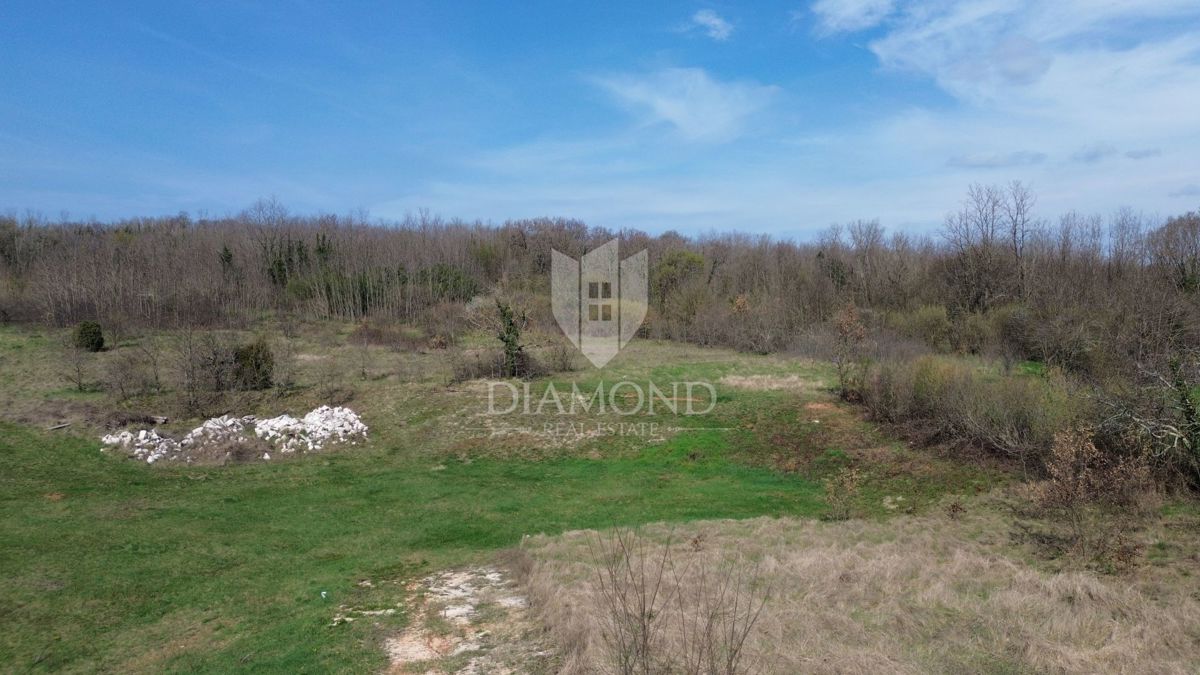 Albona, dintorni, terreno con permesso di costruzione