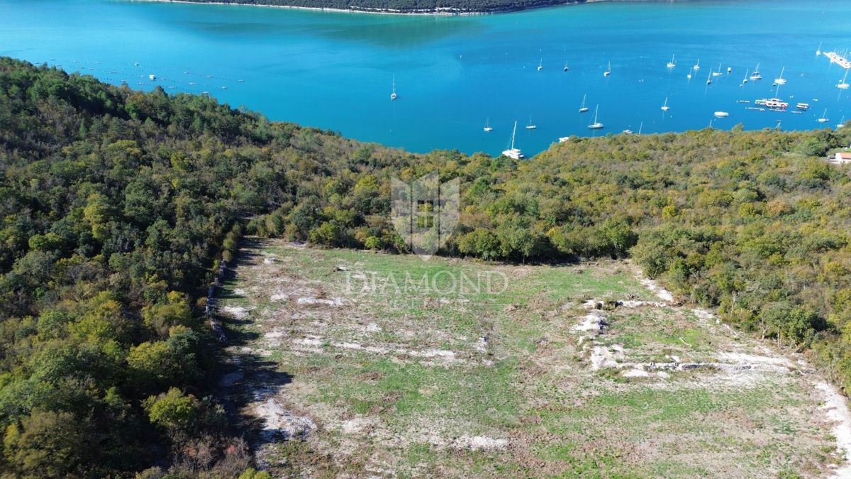 Fantastica terra sul mare