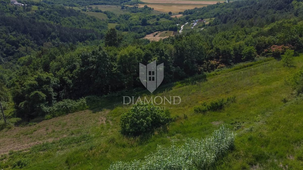 Istria, Montona, terreno con permesso di costruzione!