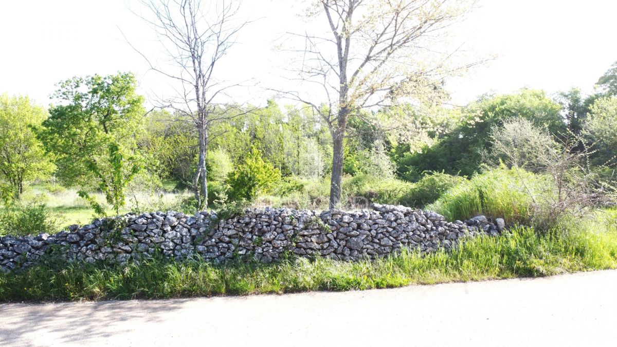 Parenzo – Dintorni – Terreno Edificabile in Splendida Posizione