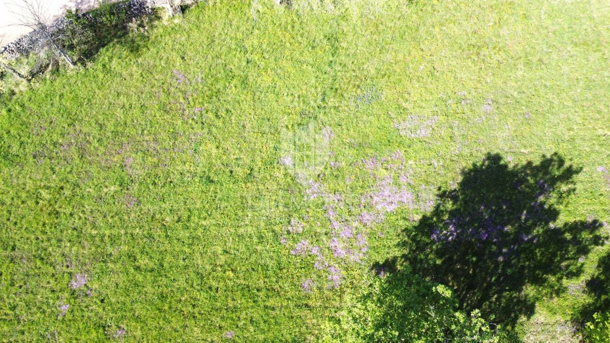 Parenzo – Dintorni – Terreno Edificabile in Splendida Posizione