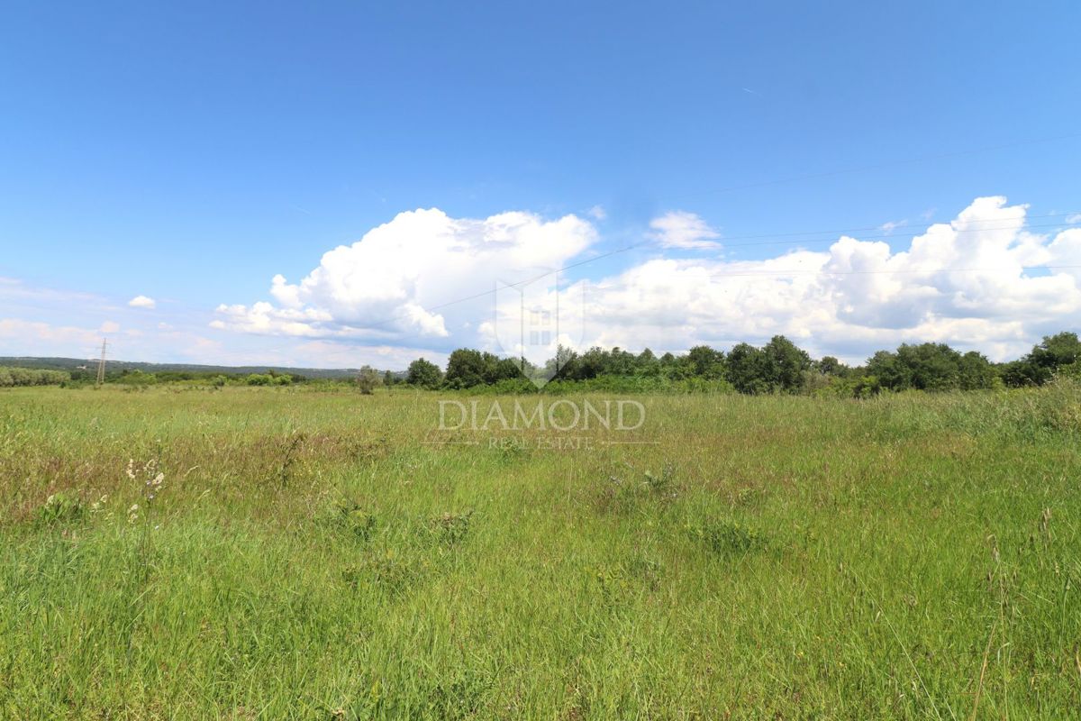 Parenzo, dintorni – Terreno edificabile di 767 m² in una posizione tranquilla