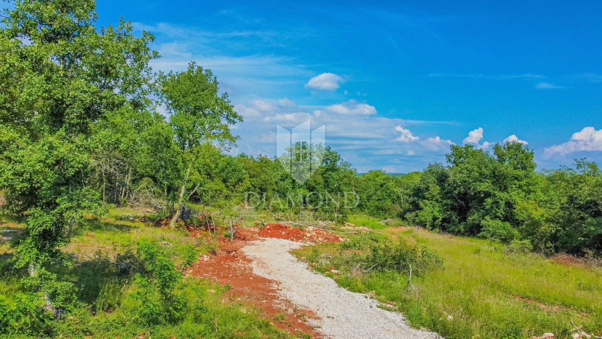 Grisignana, terreno edificabile in posizione tranquilla!