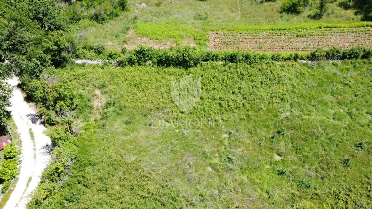 Poreč - Dintorni - Ottimo terreno edificabile di 1090 m² con progetto e permesso