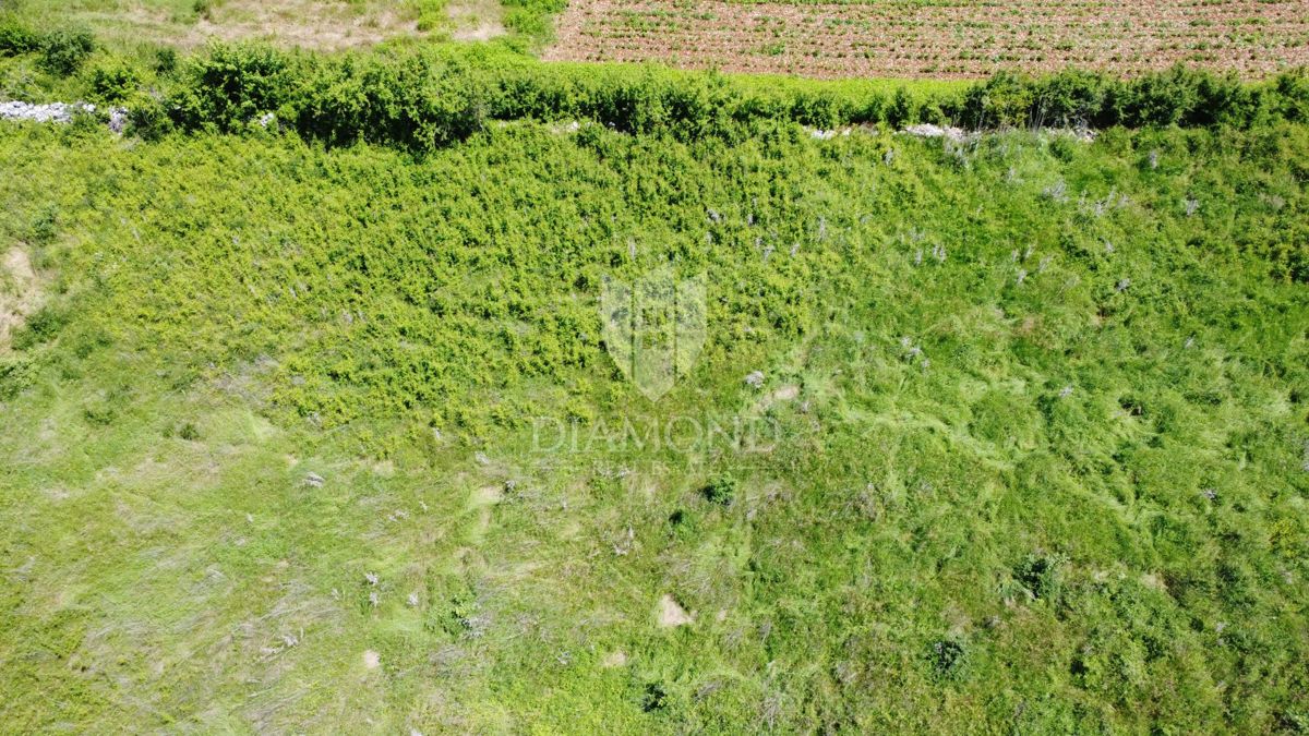 Poreč - Dintorni - Ottimo terreno edificabile di 1090 m² con progetto e permesso