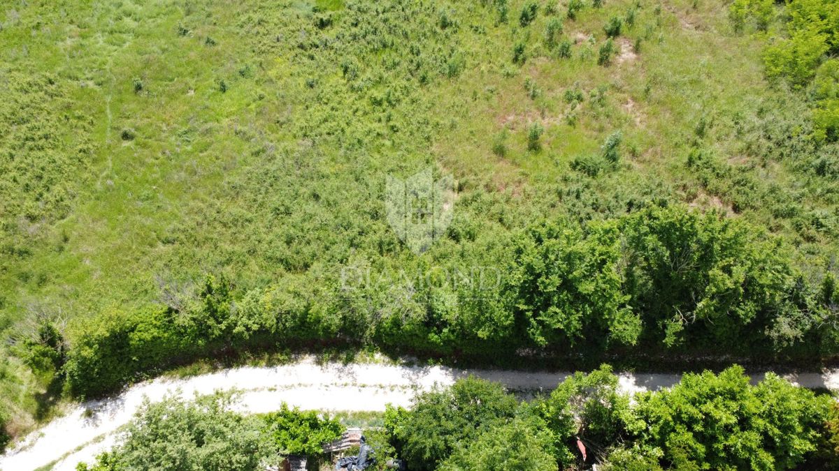 Poreč - Dintorni - Ottimo terreno edificabile di 1090 m² con progetto e permesso