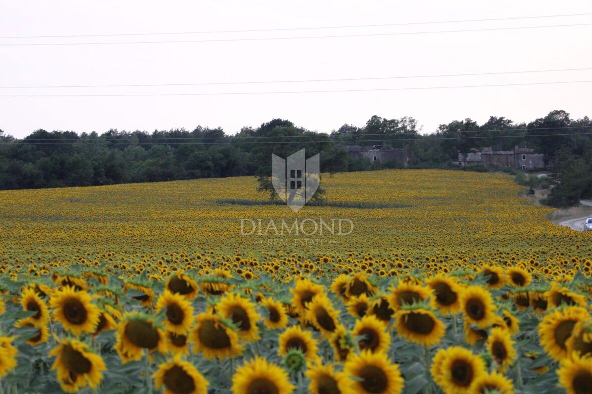 Casa e proprietà a Kršan