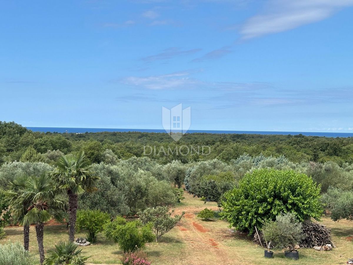 Casa in pietra d'Istria in una posizione tranquilla vicino a Umago